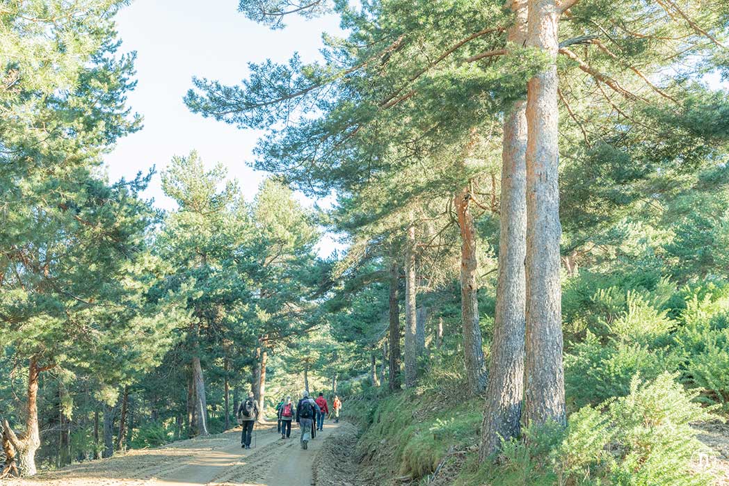 Chorrera de los Litueros, la cascada más alta de Madrid