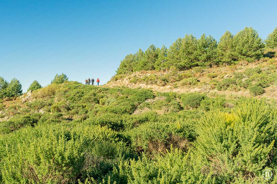 Chorrera de los Litueros, la cascada más alta de Madrid