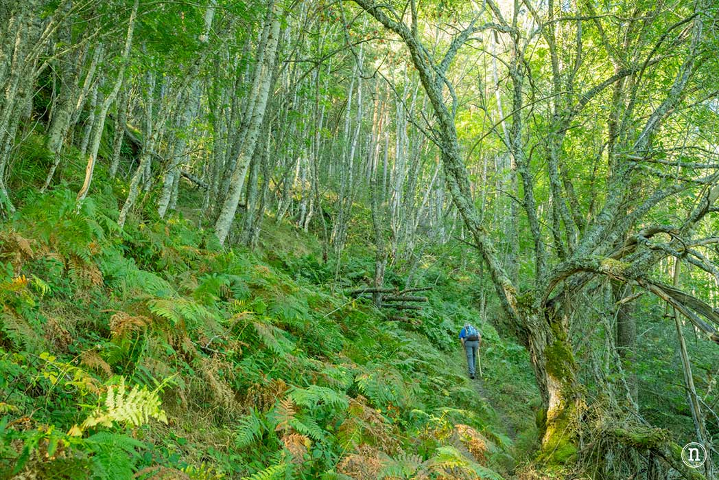 Las cascadas de Altuzarra en la Sierra de la Demanda