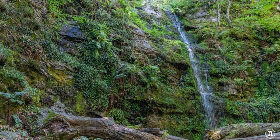 Las cascadas de Altuzarra en la Sierra de la Demanda