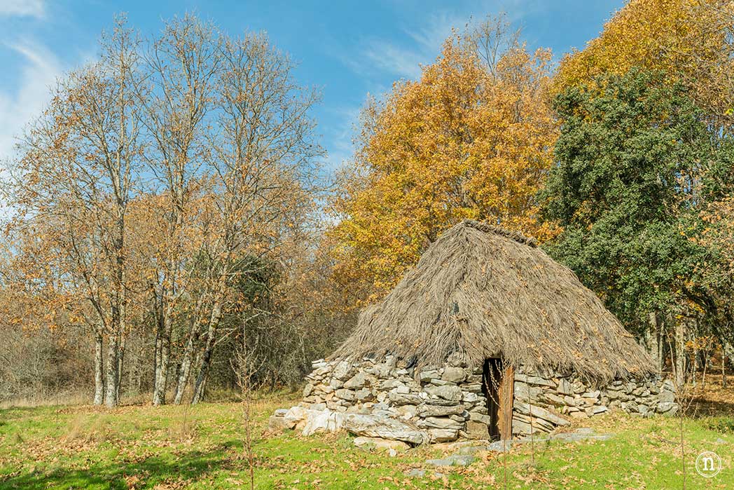 Senda de las Doncellas del Hoyal