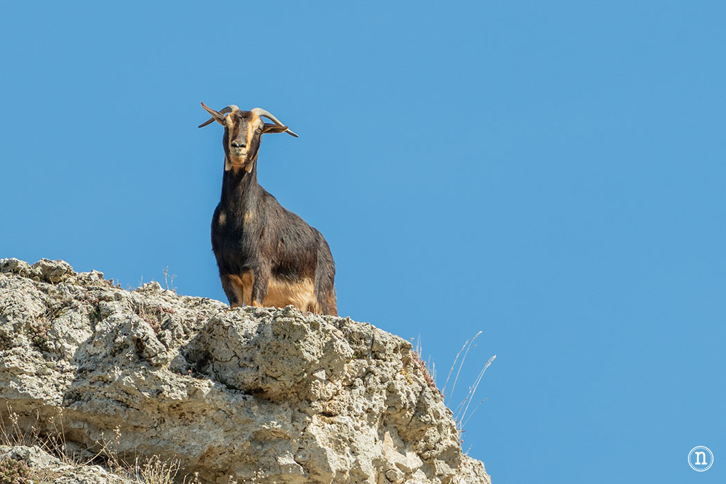 Senda del Cañón del Fraile en Valle de Tabladillo, Segovia