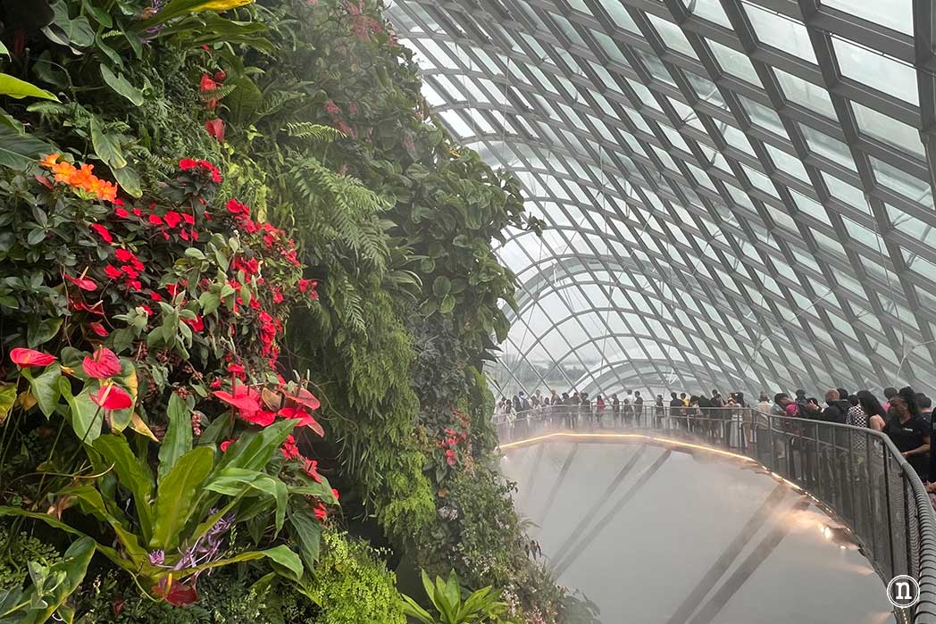 Gardens by the Bay en Singapur, GUIA DEFINITIVA