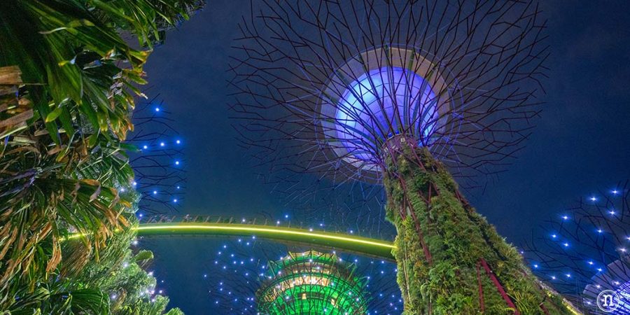 Gardens by the Bay en Singapur, GUIA DEFINITIVA