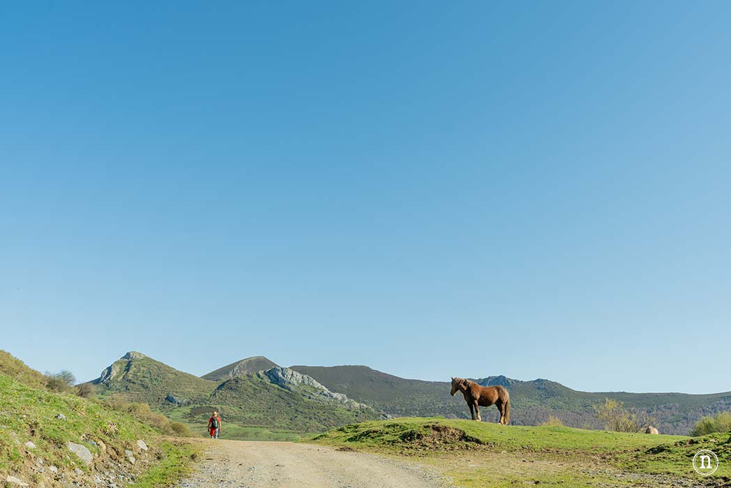 Montaña de Riaño y Mampodre: Maraña y Puerto de Las Señales
