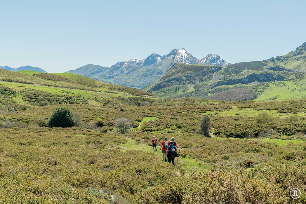Montaña de Riaño y Mampodre: Maraña y Puerto de Las Señales