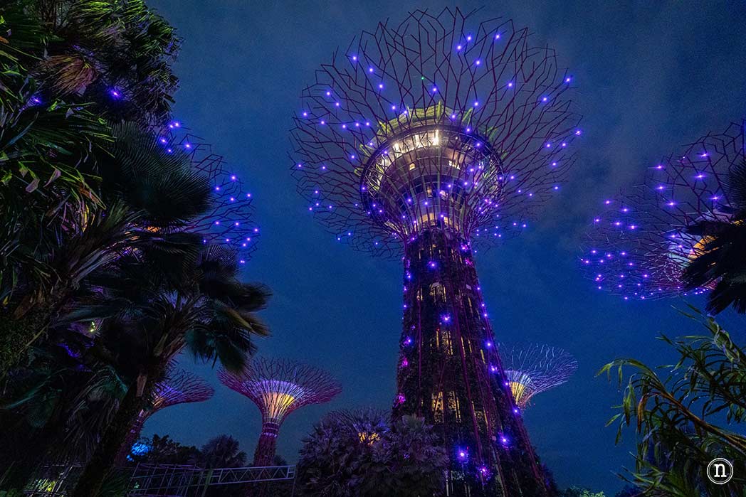 Gardens by the Bay en Singapur, GUIA DEFINITIVA