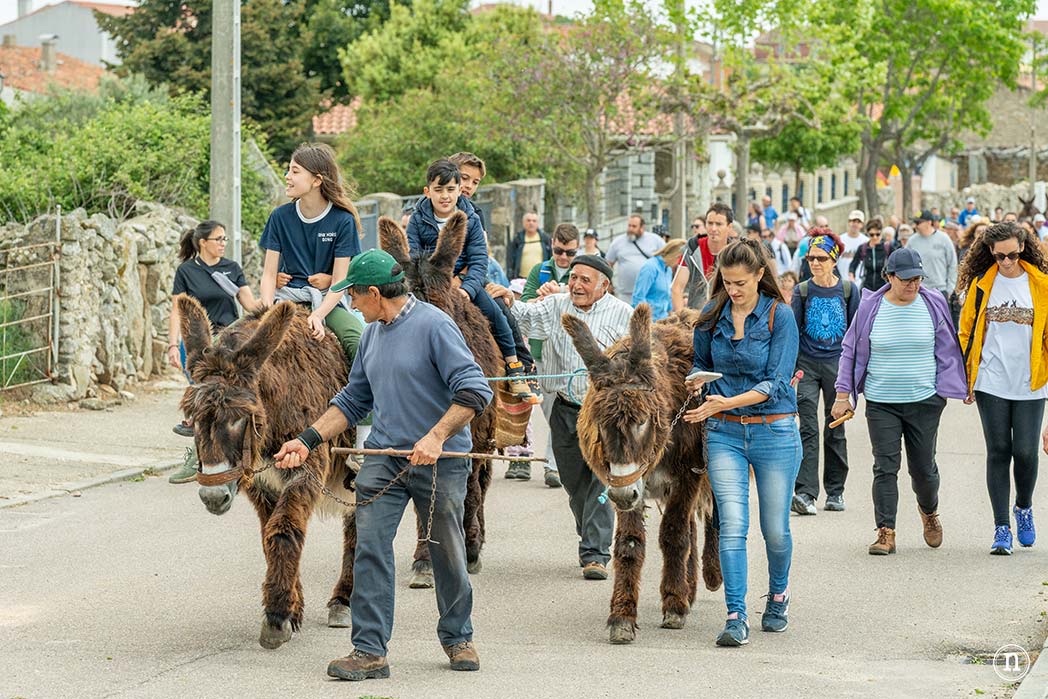 Villalcampo, un paseo con burros por los Arribes del Duero 