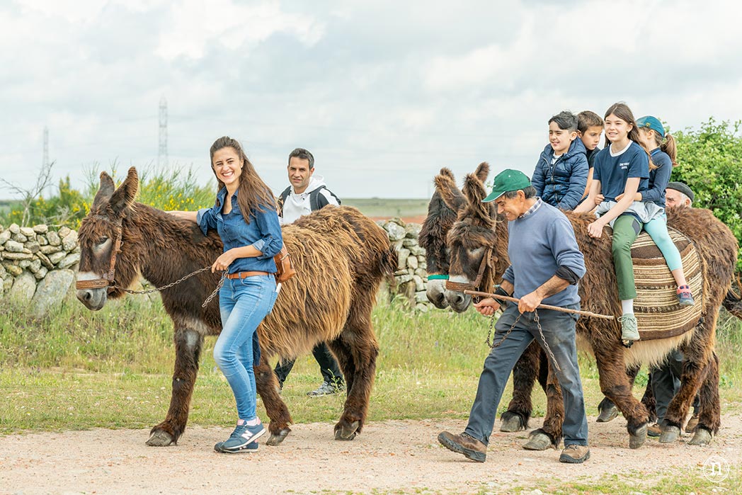 Villalcampo, un paseo con burros por los Arribes del Duero 