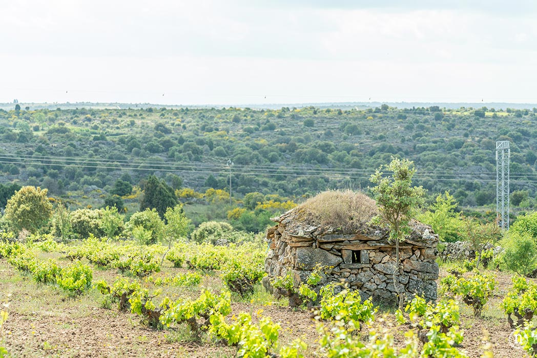 Villalcampo, un paseo con burros por los Arribes del Duero 
