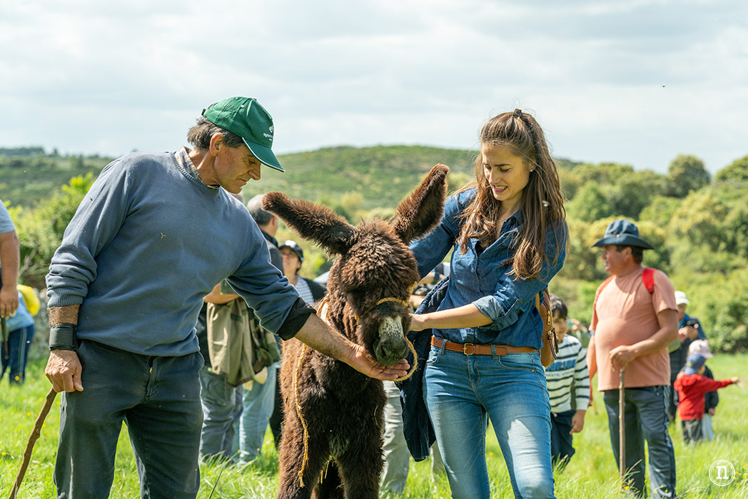 Villalcampo, un paseo con burros por los Arribes del Duero