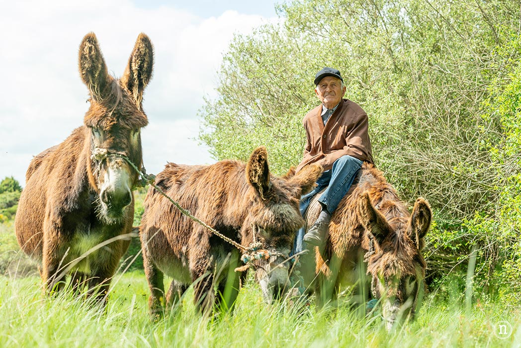 Villalcampo, un paseo con burros por los Arribes del Duero