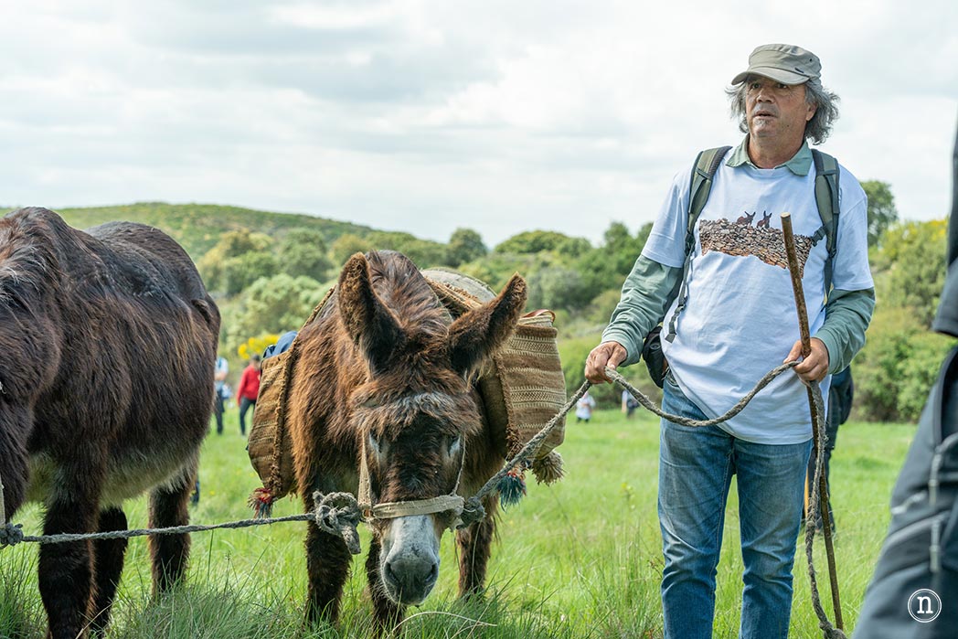 Villalcampo, un paseo con burros por los Arribes del Duero