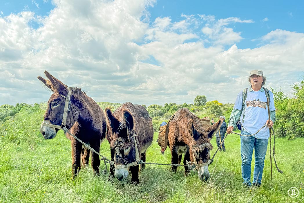 Villalcampo, un paseo con burros por los Arribes del Duero