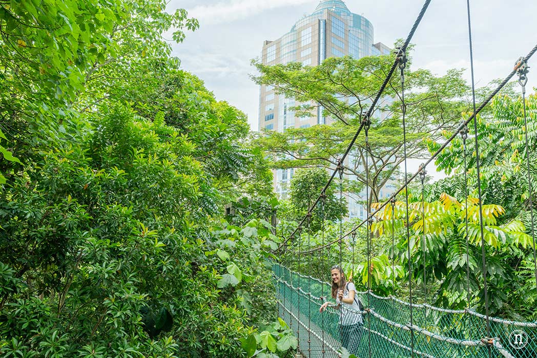 Kuala Lumpur, que ver en la Capital de las Luces
