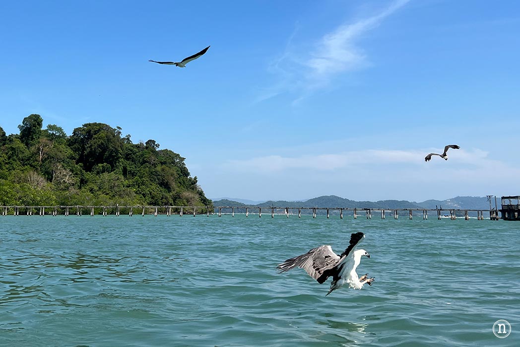 Langkawi, Malasia que ver en el paraíso del mar de Andamán