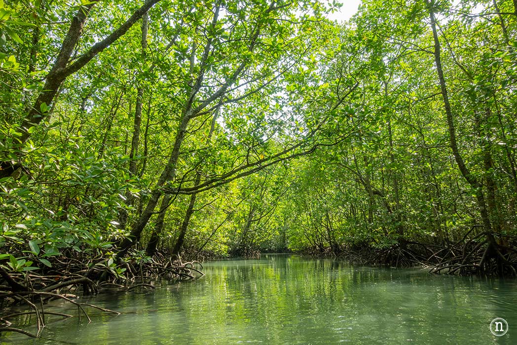 Langkawi, Malasia que ver en el paraíso del mar de Andamán 