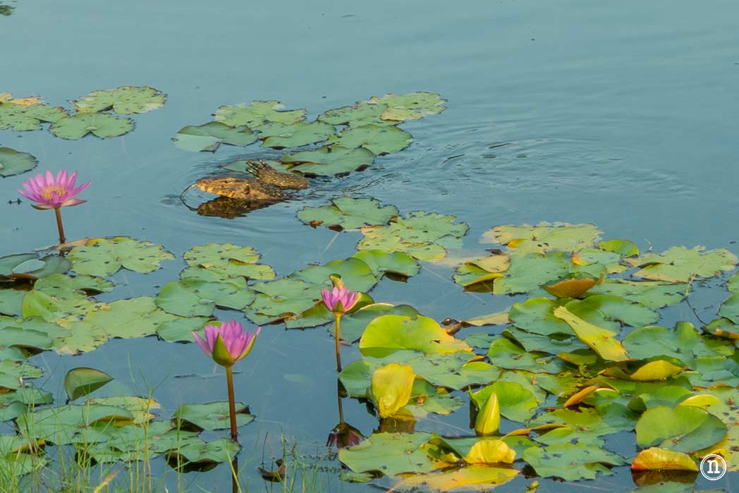 Langkawi, Malasia que ver en el paraíso del mar de Andamán 