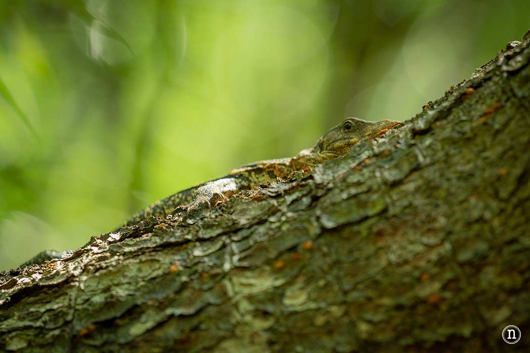 Langkawi, Malasia que ver en el paraíso del mar de Andamán 