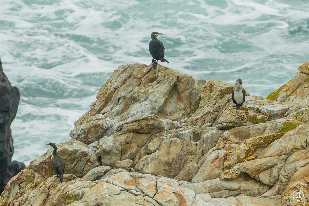 Fuciño do Porco, increíble ruta en la Mariña Lucense