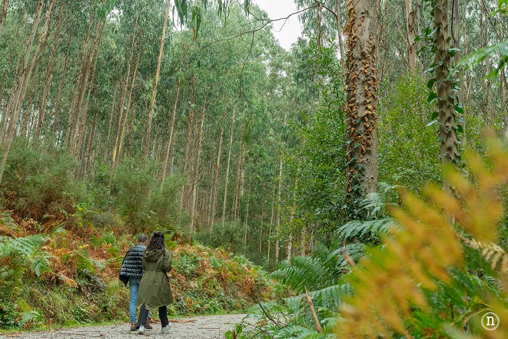 Fuciño do Porco, increíble ruta en la Mariña Lucense