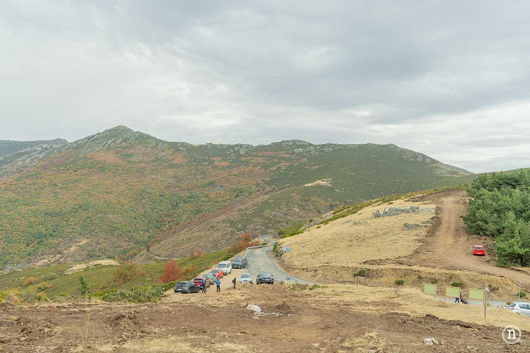 Hayedo de la Pedrosa en la Sierra de Ayllón, Segovia 