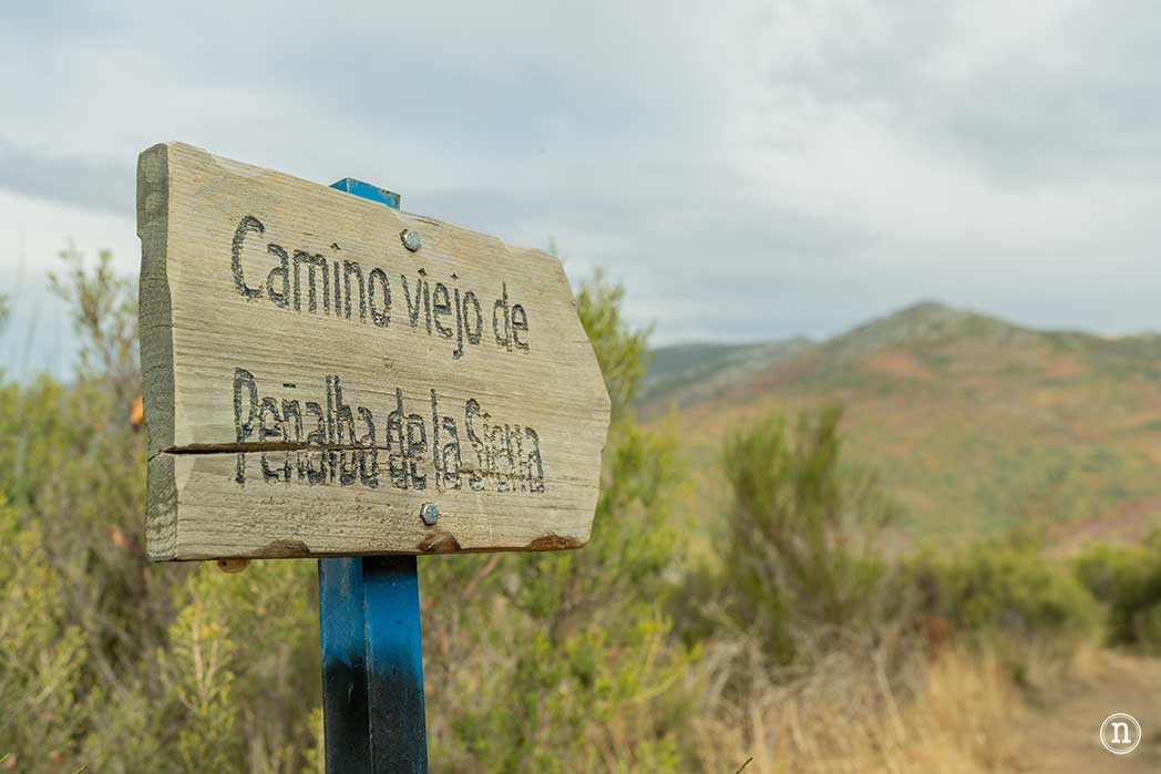 Hayedo de la Pedrosa en la Sierra de Ayllón, Segovia 