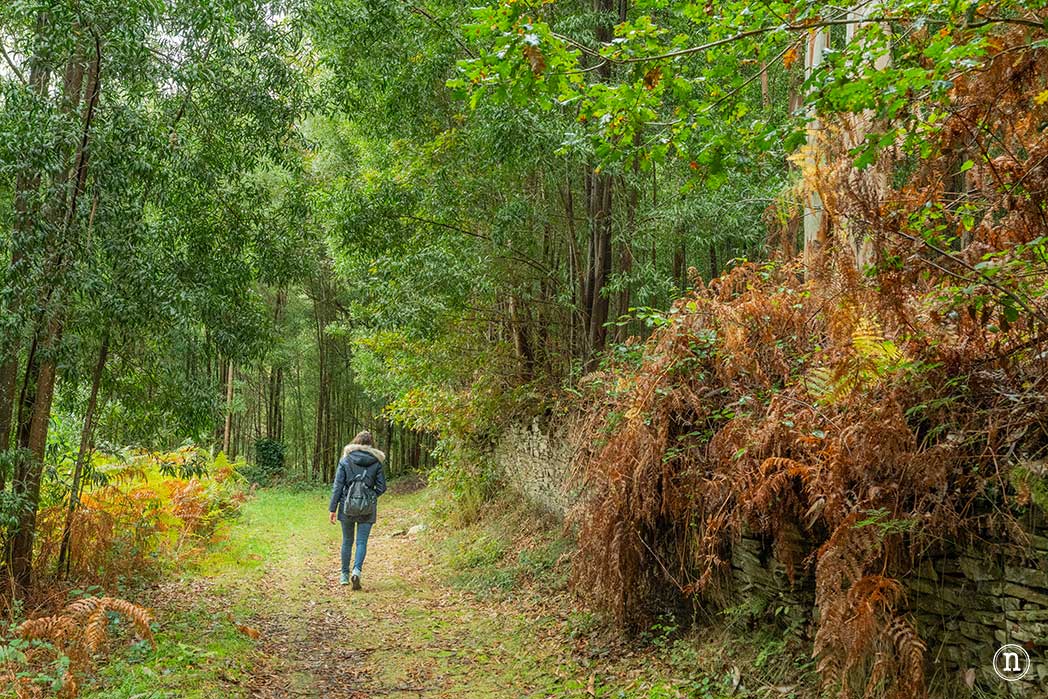 Ruta del agua de Mondoñedo y Salto de Coro, A Mariña Lucense
