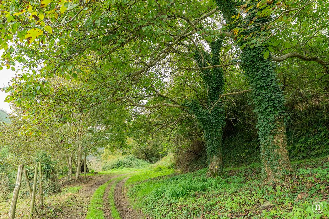 Ruta del agua de Mondoñedo y Salto de Coro, A Mariña Lucense
