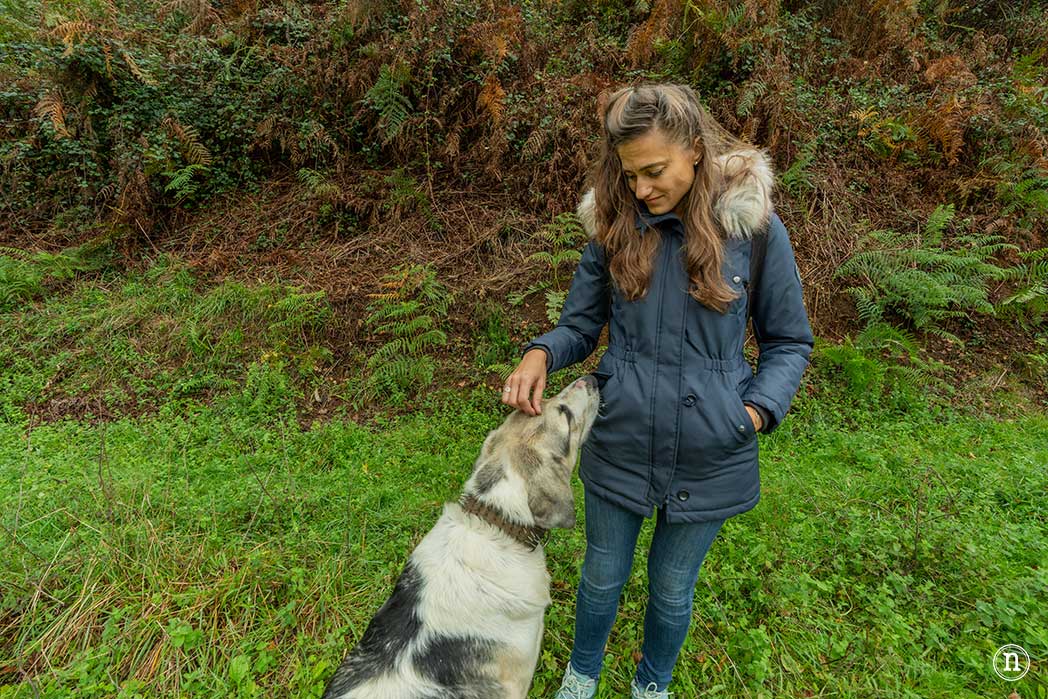 Ruta del agua de Mondoñedo y Salto de Coro, A Mariña Lucense
