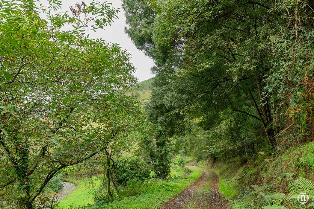 Ruta del agua de Mondoñedo y Salto de Coro, A Mariña Lucense
