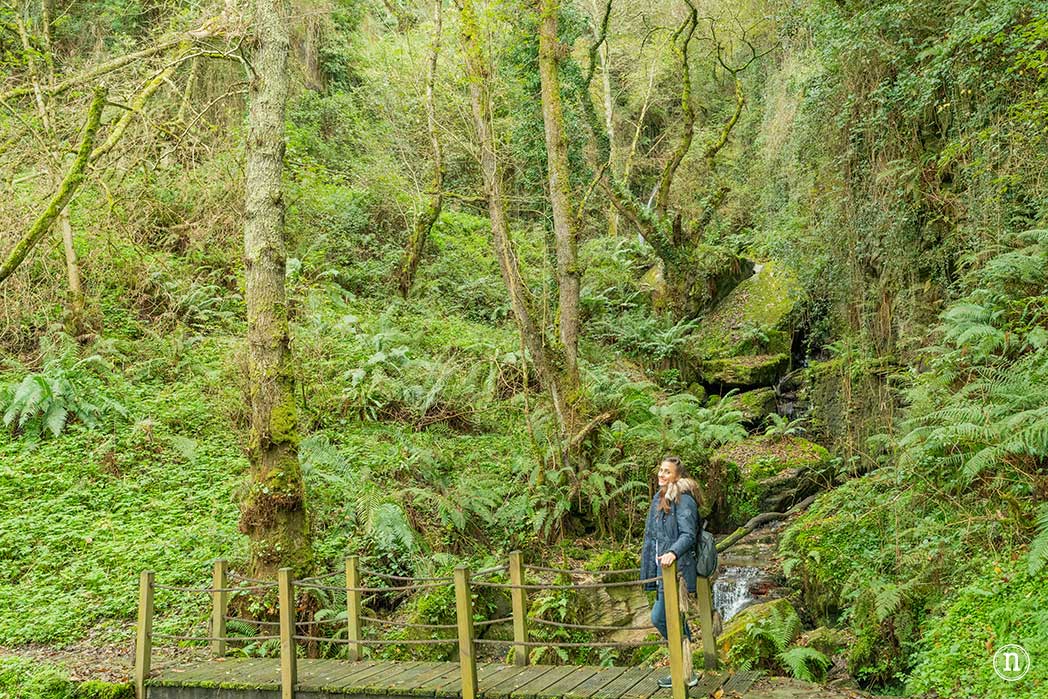 Ruta del agua de Mondoñedo y Salto de Coro, A Mariña Lucense
