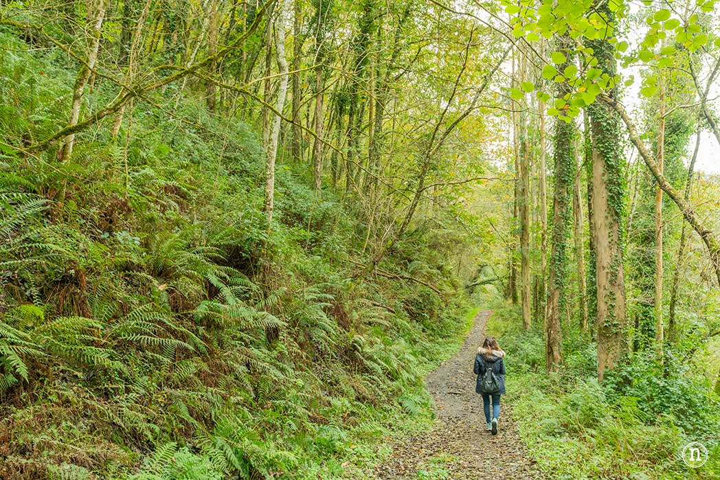Ruta del agua de Mondoñedo y Salto de Coro, A Mariña Lucense
