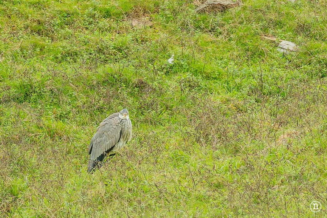 Ruta del agua de Mondoñedo y Salto de Coro, A Mariña Lucense

