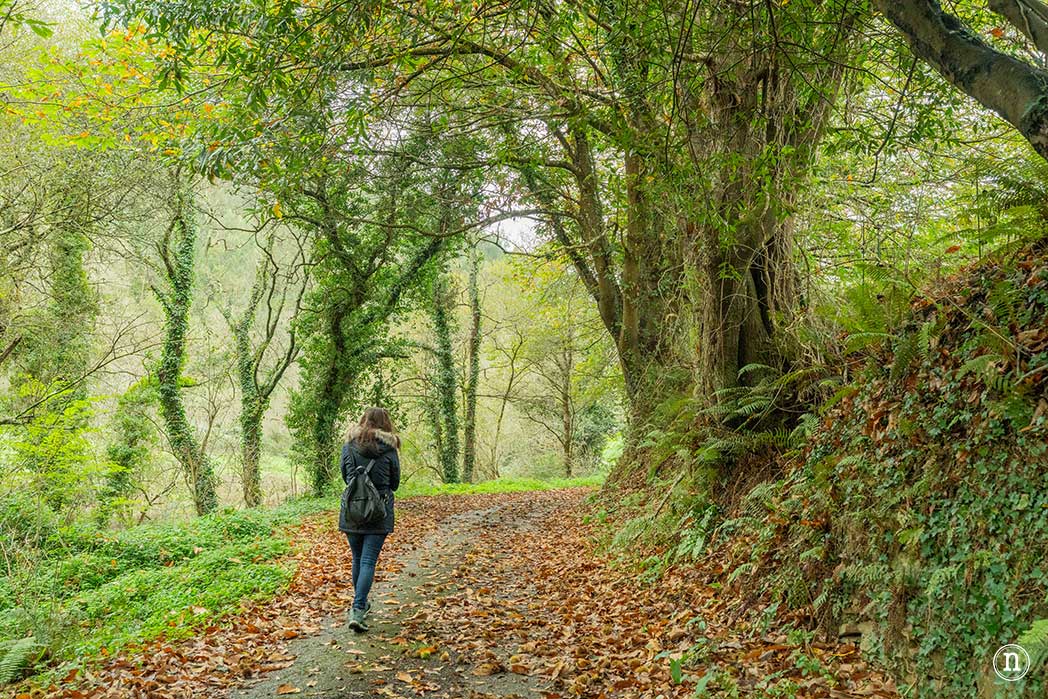 Ruta del agua de Mondoñedo y Salto de Coro, A Mariña Lucense
