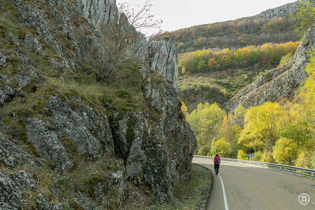 Hayedo de La Boyariza en Geras de Gordón, León