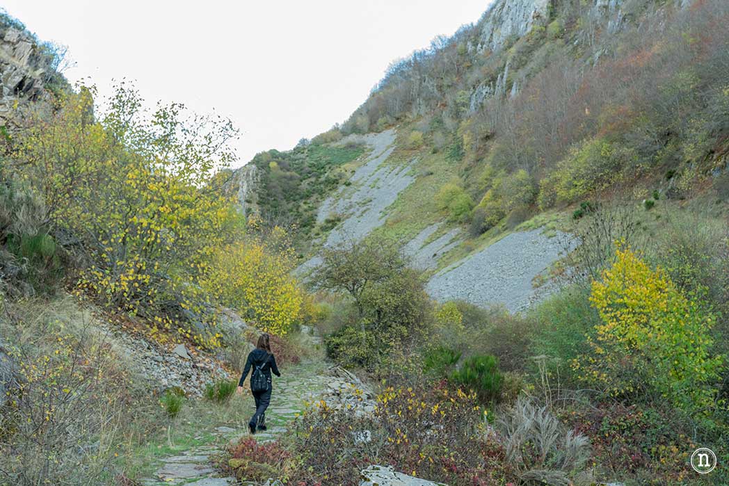 Hayedo de La Boyariza en Geras de Gordón, León