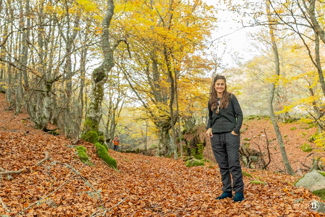 Hayedo de La Boyariza en Geras de Gordón, León