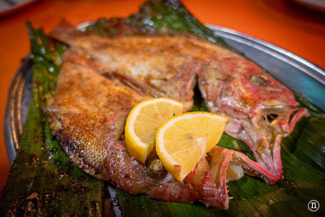 Kuching que ver y hacer en tu primera parada en Borneo 