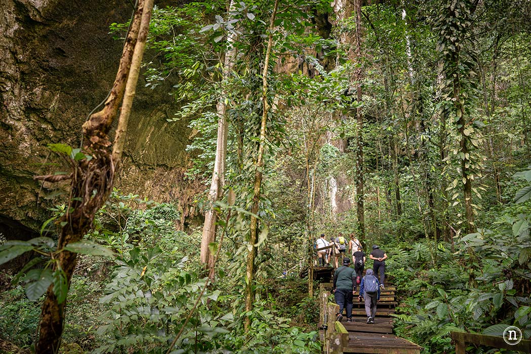 Deer & Lang Cave y éxodo de murciélagos en el P. N. de Mulu