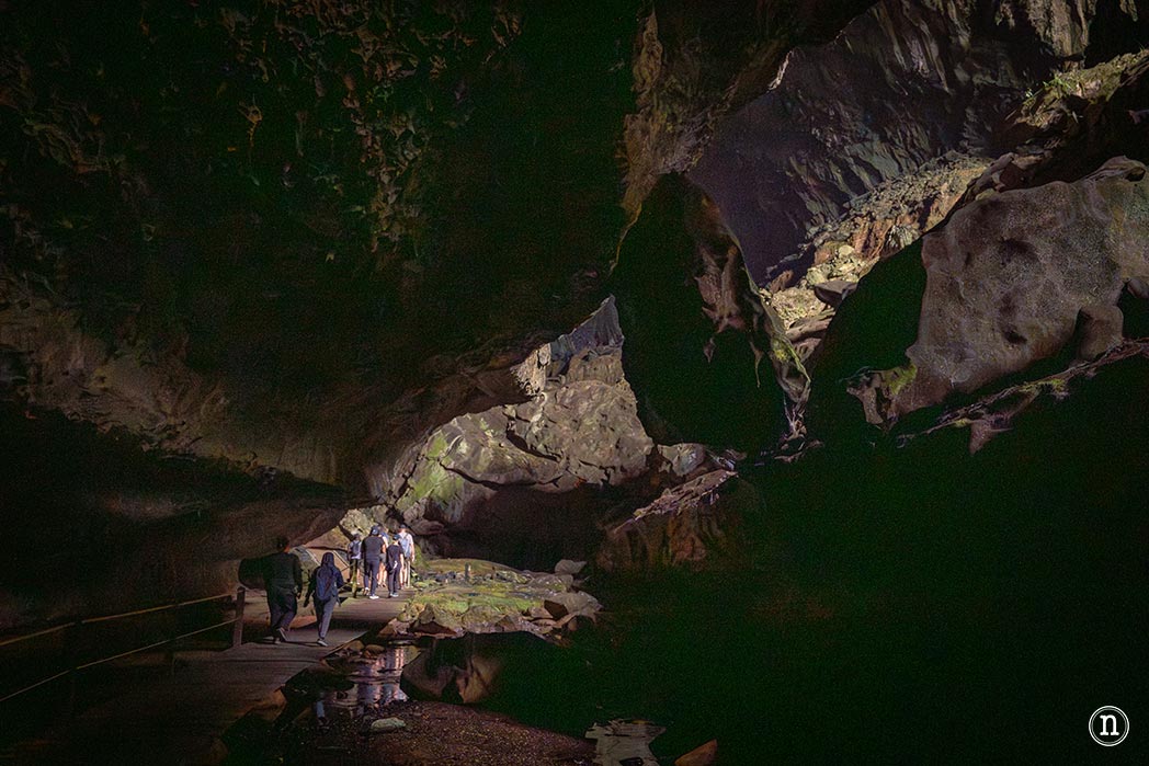 Deer & Lang Cave y éxodo de murciélagos en el P. N. de Mulu
