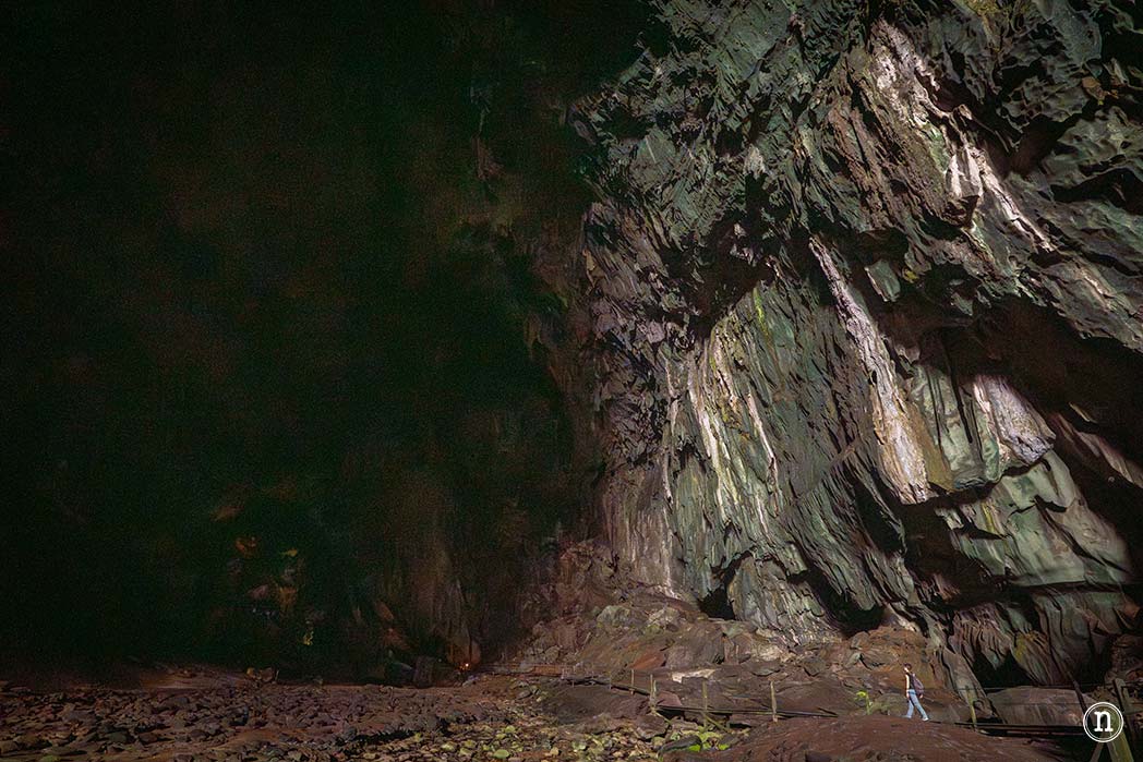 Deer & Lang Cave y éxodo de murciélagos en el P. N. de Mulu