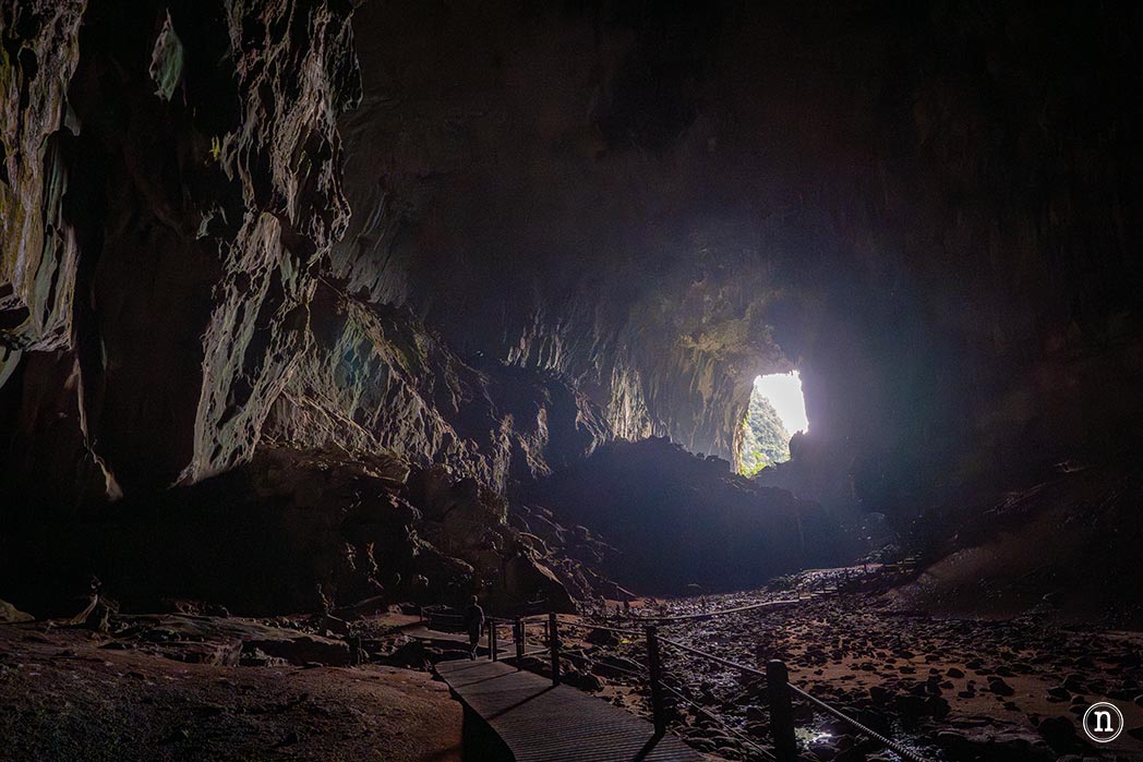 Deer & Lang Cave y éxodo de murciélagos en el P. N. de Mulu