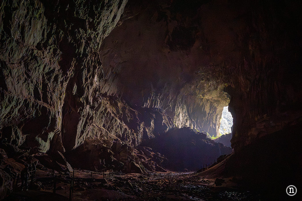 Deer & Lang Cave y éxodo de murciélagos en el P. N. de Mulu