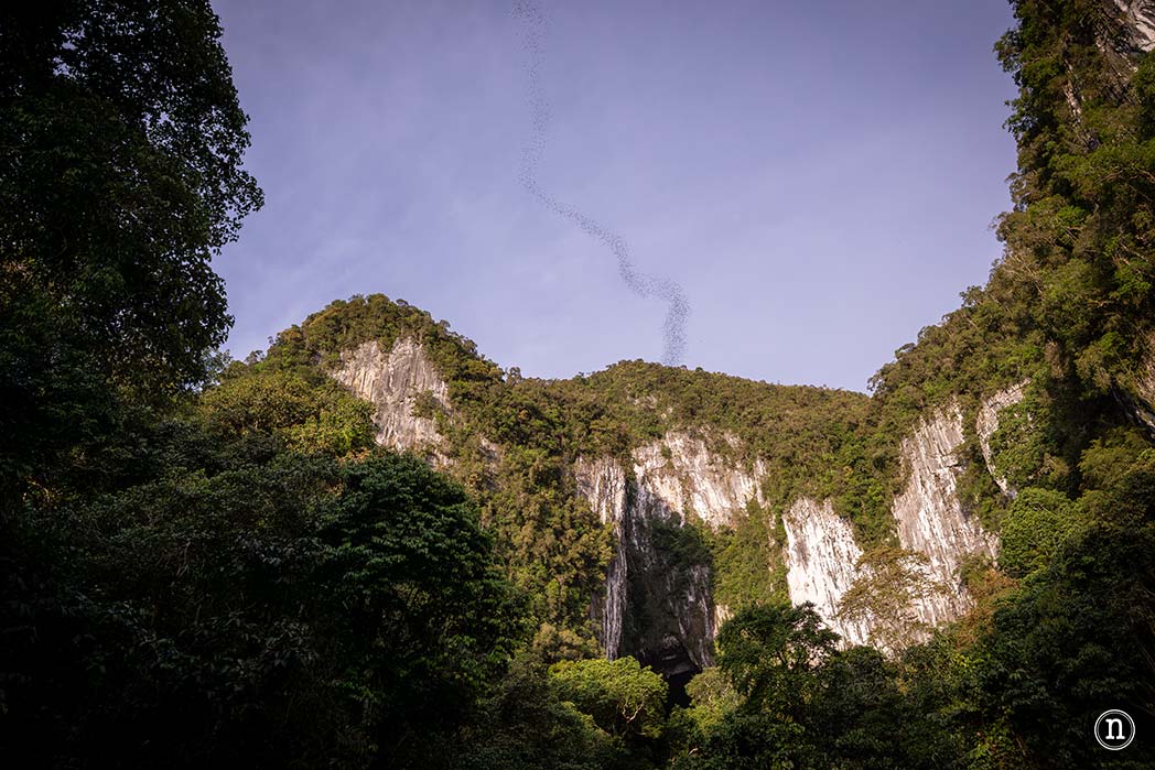 Deer & Lang Cave y éxodo de murciélagos en el P. N. de Mulu