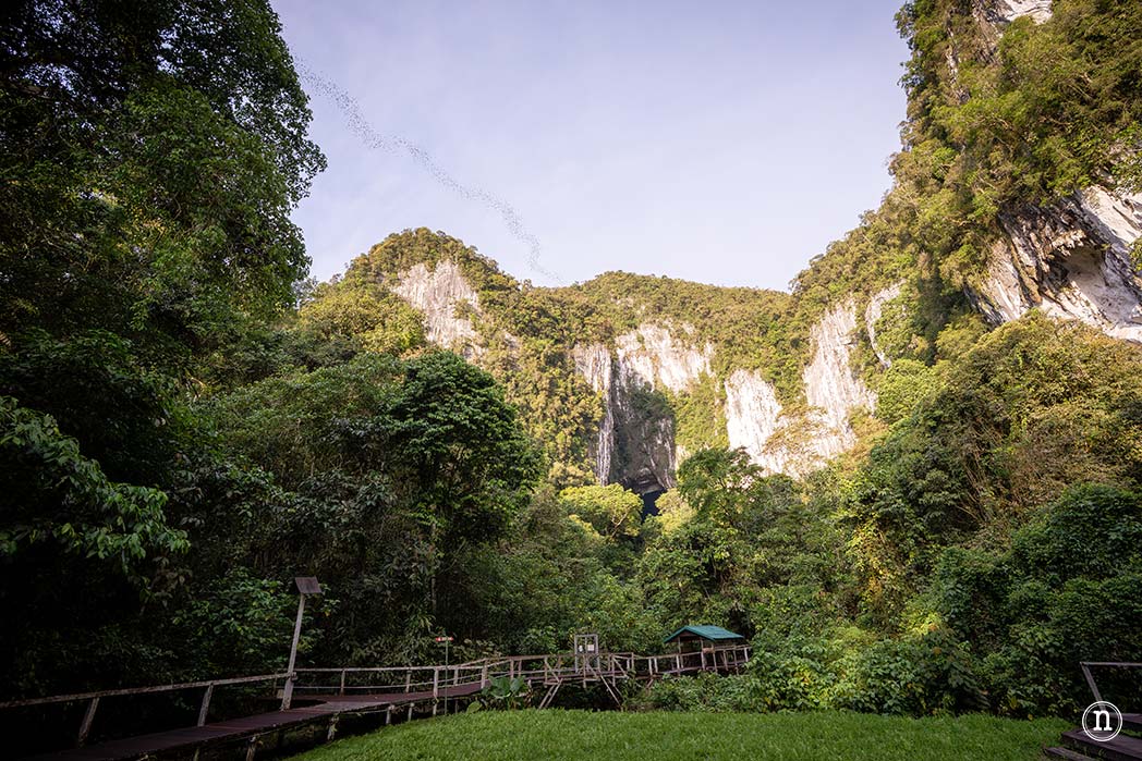 Deer & Lang Cave y éxodo de murciélagos en el P. N. de Mulu