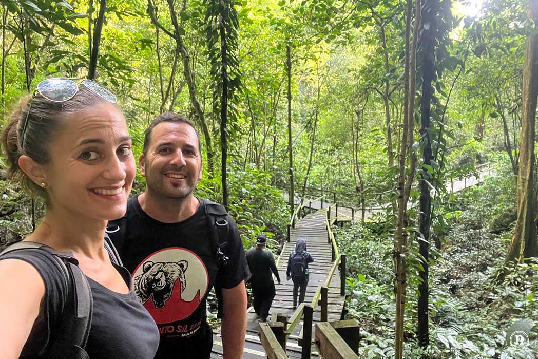 Deer & Lang Cave y éxodo de murciélagos en el P. N. de Mulu