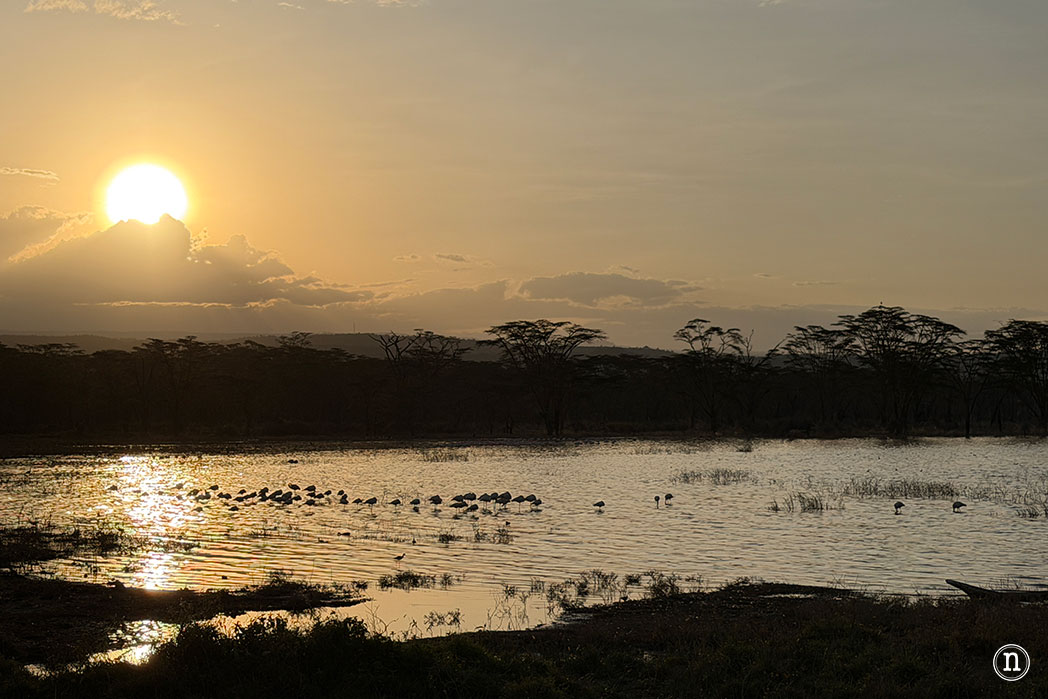 P. N. Lago Nakuru, agua, sabana y el Gran Valle del Rift de Kenia