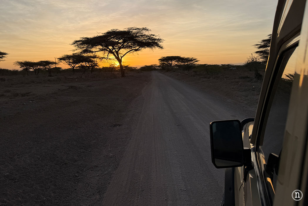 Reserva Nacional de Samburu, nuestro primer safari en Kenia