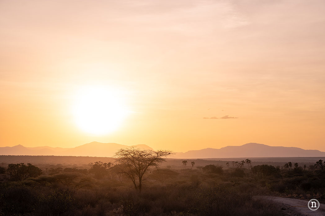 Reserva Nacional de Samburu, nuestro primer safari en Kenia